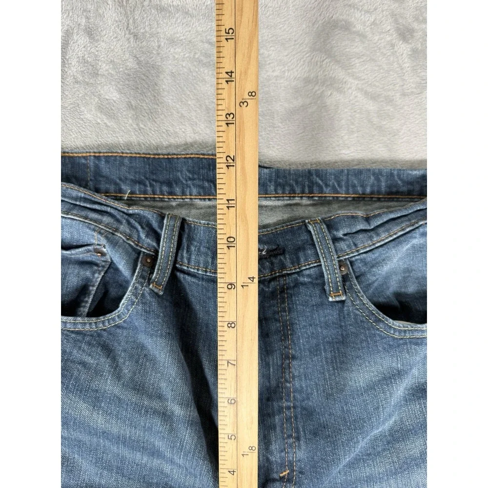 Levis levis 559